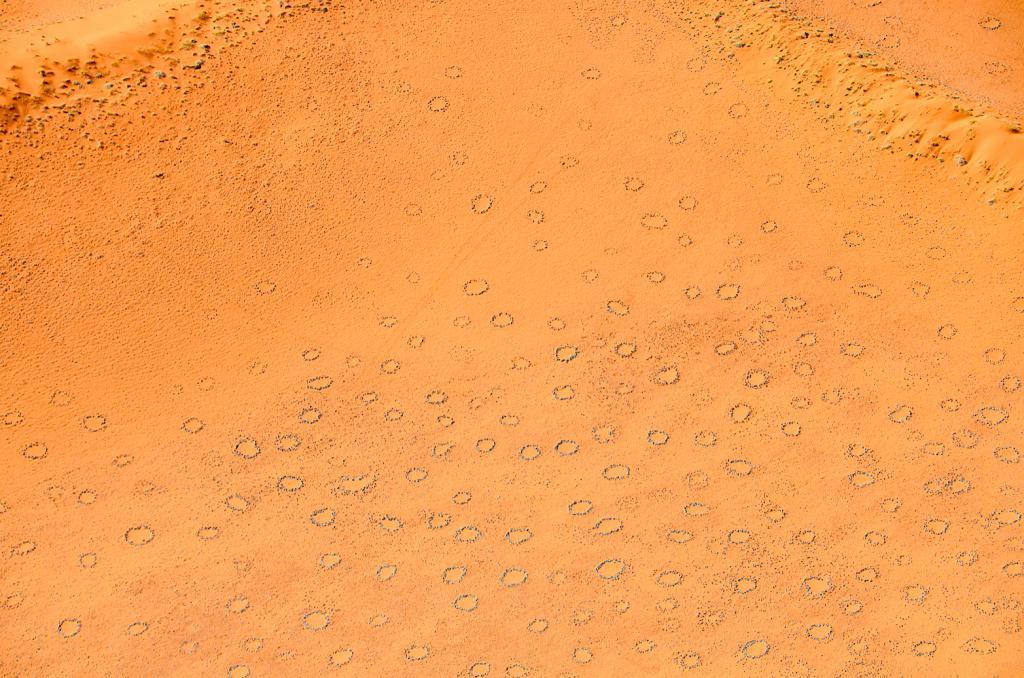 沙漠上的一个个“神秘怪圈”，真的是外星人干的吗？