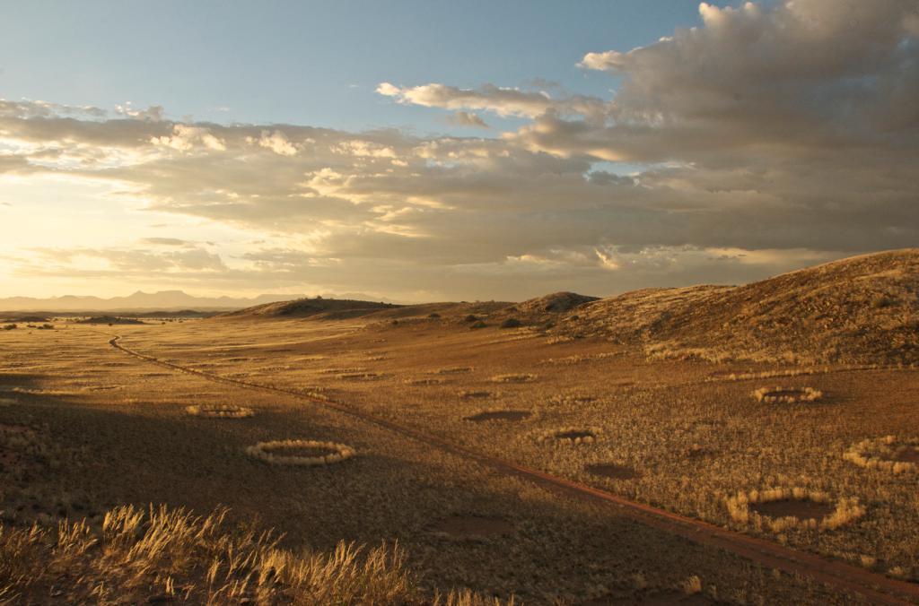 沙漠上的一个个“神秘怪圈”，真的是外星人干的吗？