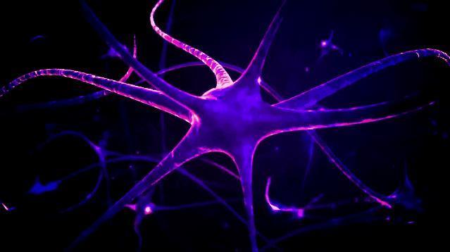 AI产生自我意识，“古墓丽影”劳拉觉醒，电子游戏革命来了！