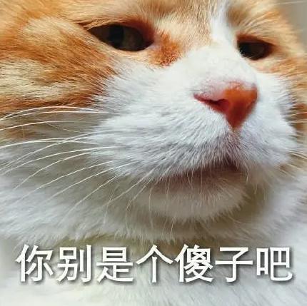 电瓶车也在搞无人驾驶，你说厂商们这是图啥。。。