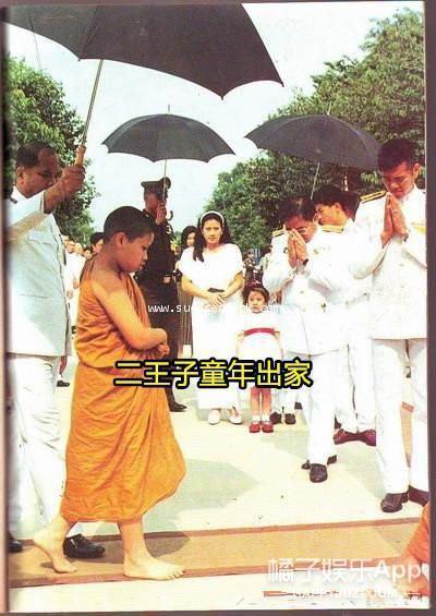 这么抓马？她消失的第8个月，家族变天了？