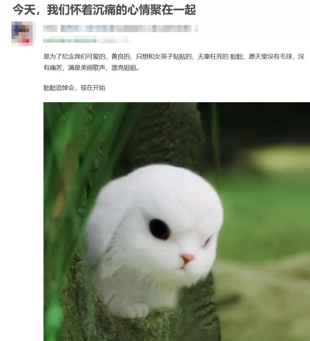 全网追上头，她凭什么爆火？