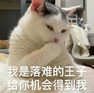 贵圈隐形“赘婿之光”竟是他！富婆严选你悟了吗？