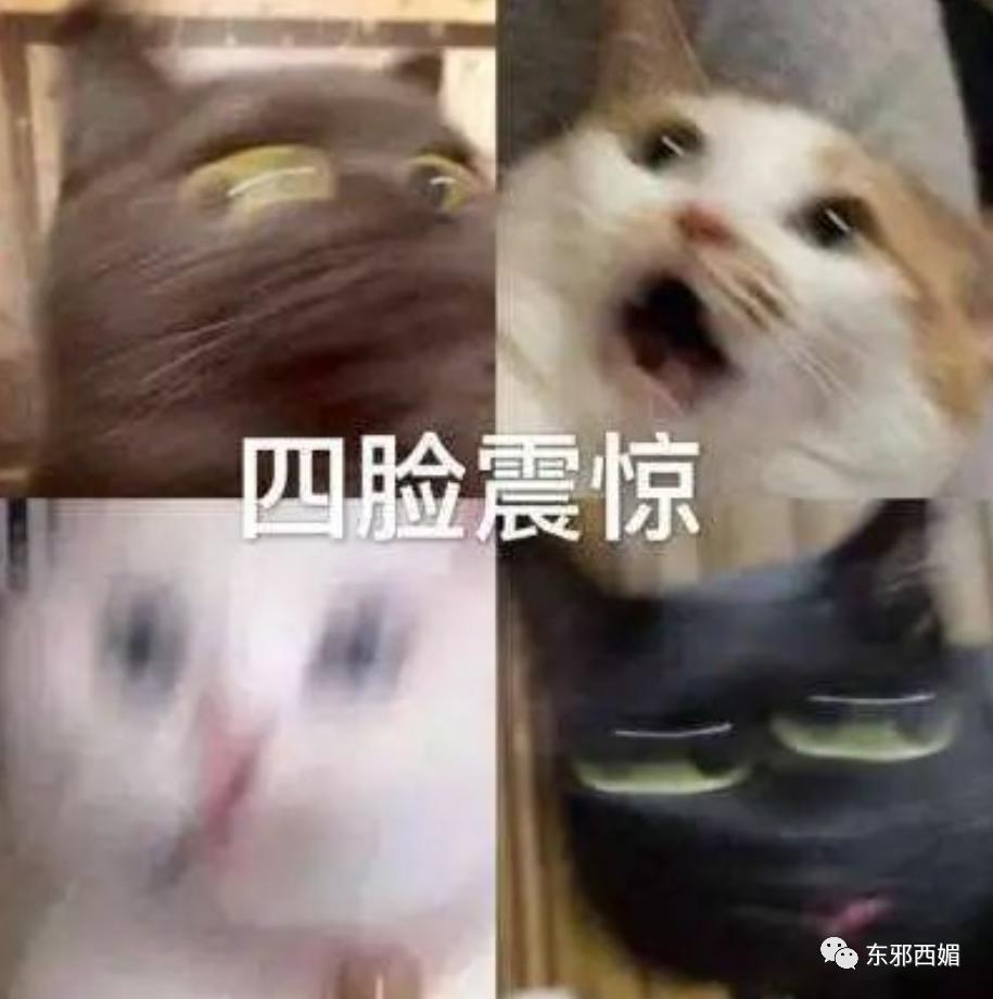 贵圈隐形“赘婿之光”竟是他！富婆严选你悟了吗？