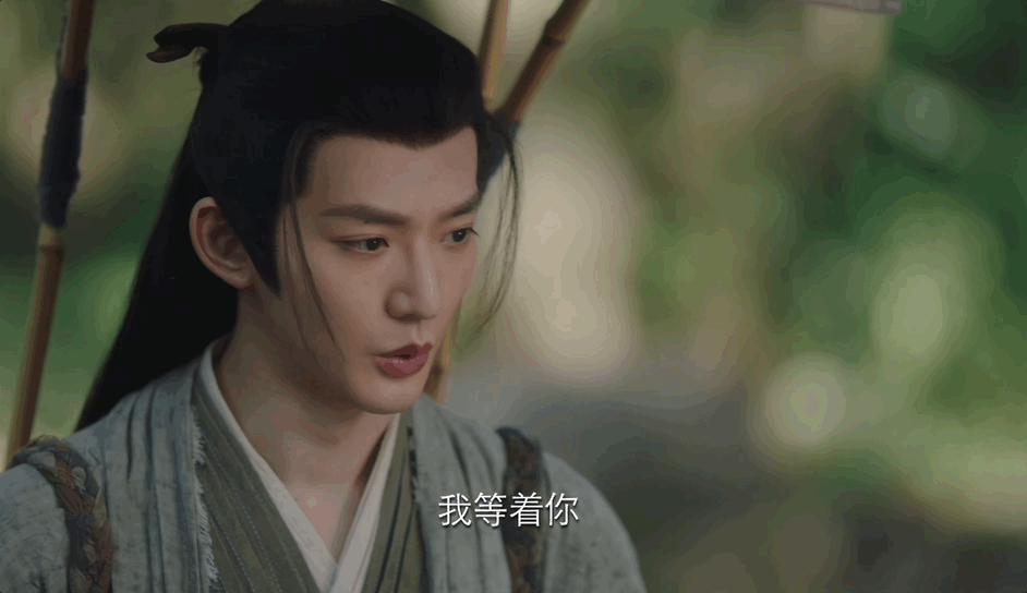 逐一品评杨紫的后宫