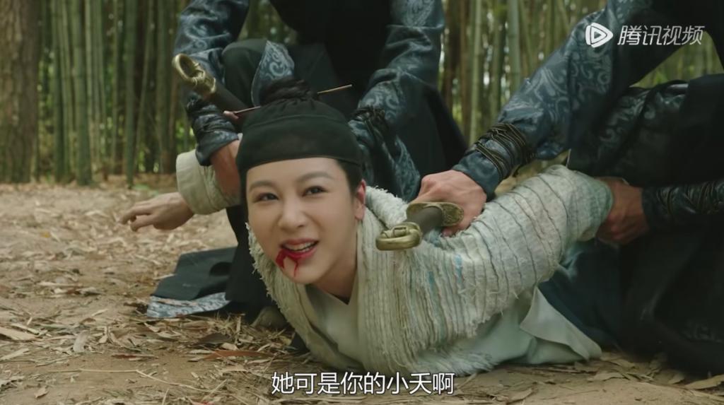 逐一品评杨紫的后宫