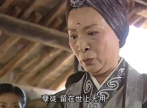 逐一品评杨紫的后宫
