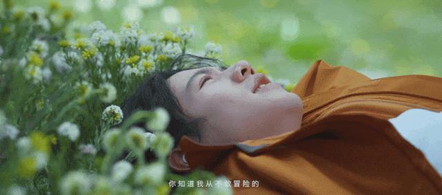 成年人幸福的真相，被他找到了