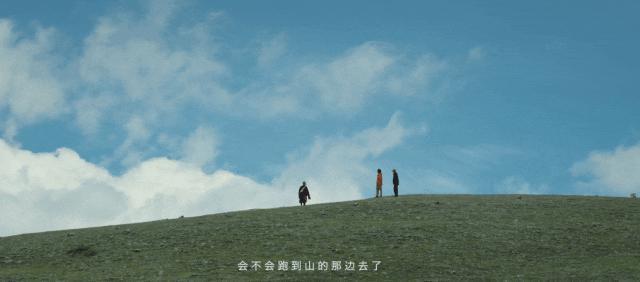 成年人幸福的真相，被他找到了