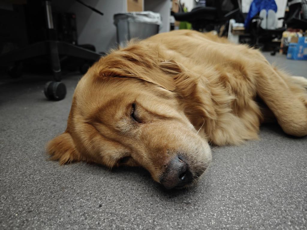 2599的红米和8999的折叠屏，小米依然是那个小米。。。