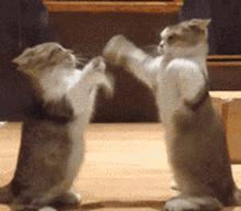 从遥遥领先到月销三千，问界快被华为放弃了？