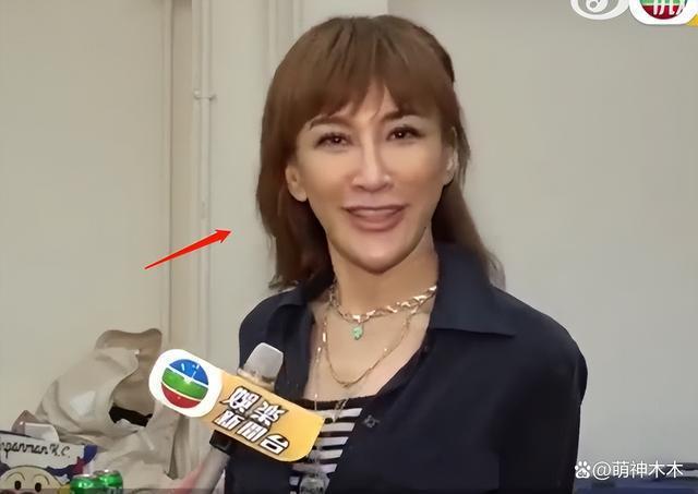 李玟二姐评论区沦陷！歌迷要求公布死因，众多细节被质疑