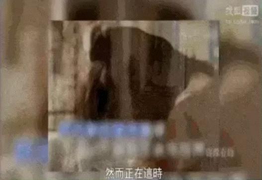 “香江美人”改命史