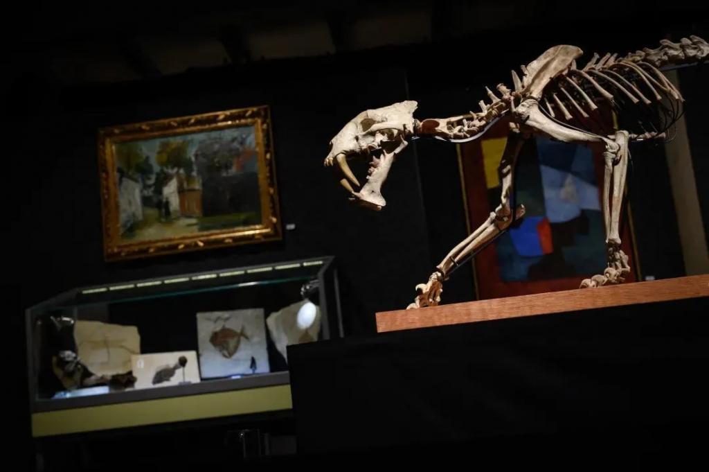 还是那句话，光刻机救不了中国半导体