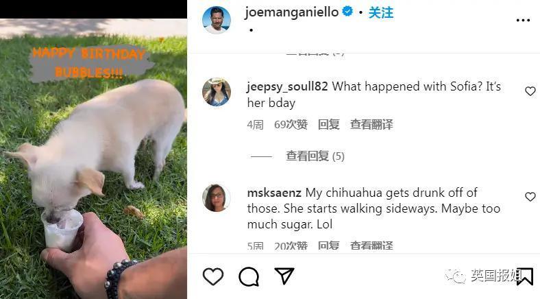 全球最美最有钱女演员离婚！男方逼高龄生娃？网友：离谱！