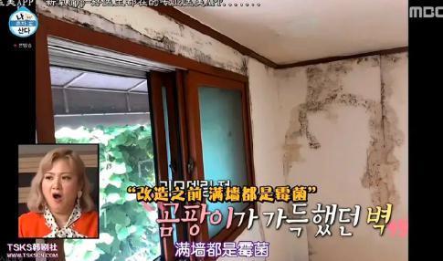 女团偶像的对象，粉丝谁也看不上
