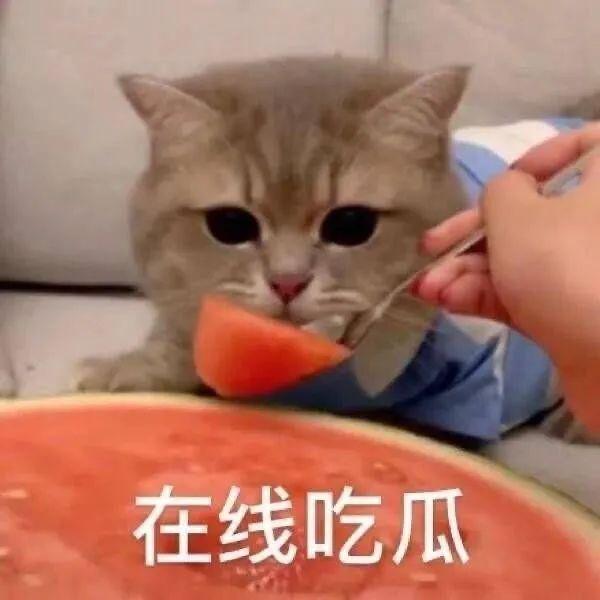 恋情早实锤了，还舍不得官宣？