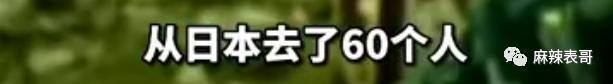 竟然走到这一步了？