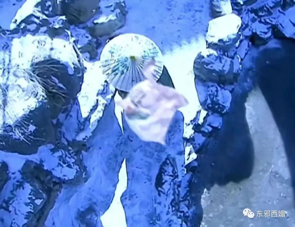 又翻车一个！哪来的自信被防爆啊？