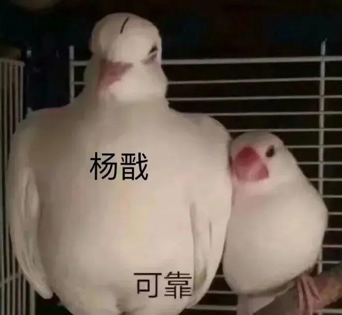 盘点一夜成名的“质子团”和《封神》背后的故事