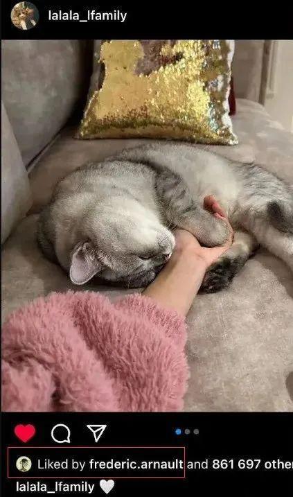 没必要嘲她傍豪门吧……