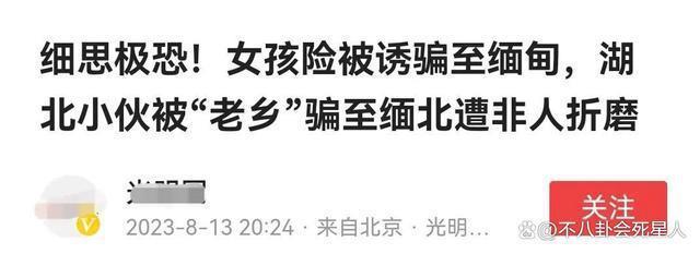 《孤注一掷》爆火，让我明白，观众早就主动跳进资本陷阱里