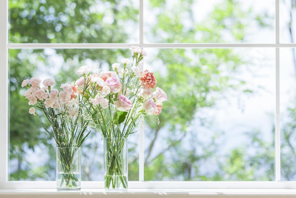 视觉中国，知识产权市场的“毒瘤” ？