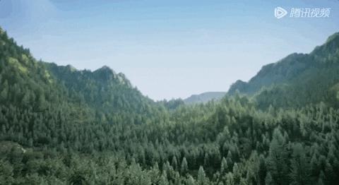 《长相思》这出闹剧