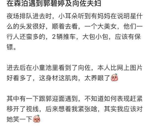 网友水上乐园偶遇向佐一家 郭碧婷穿泳衣陪娃显露身材