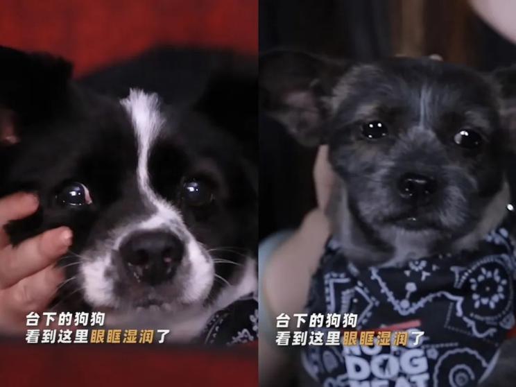 20亿票房冠军，我真夸不下去