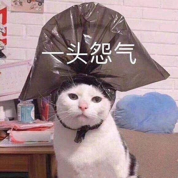 一直以为说唱是男人最好的医美？原来严敏才是