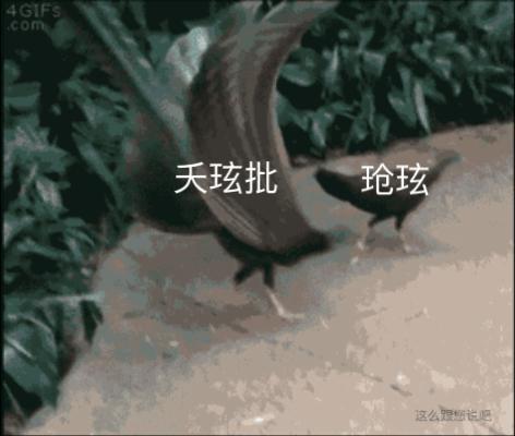 爱上他是我的宿命