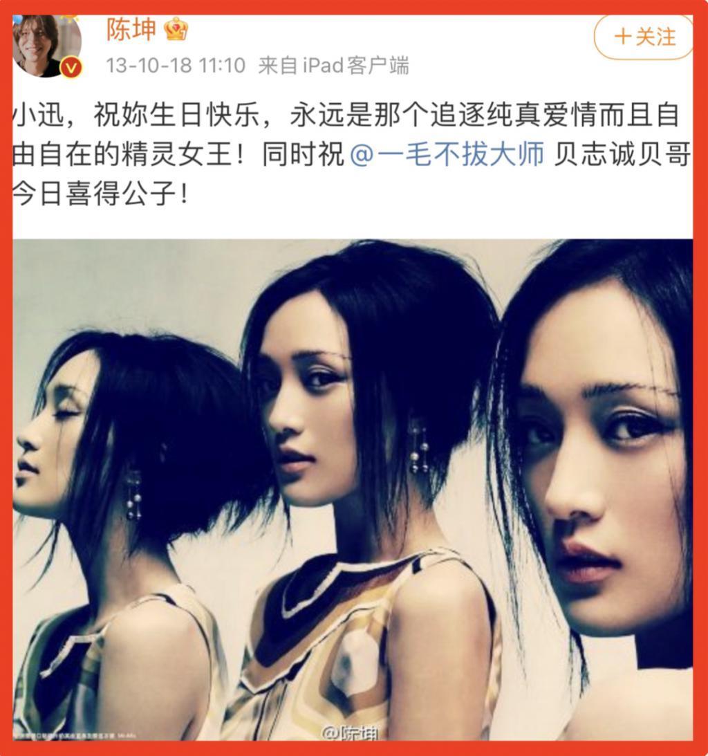 陈坤周迅结婚？这感情，绝了！