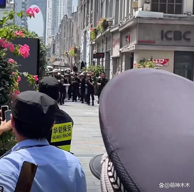 杨颖出行安保阵仗大，特警长排维护开路，网友怒斥浪费资源