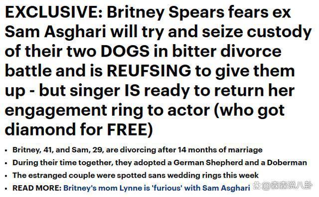 布兰妮三度离婚，砸钱争夺两只狗的抚养权，前夫也势在必得