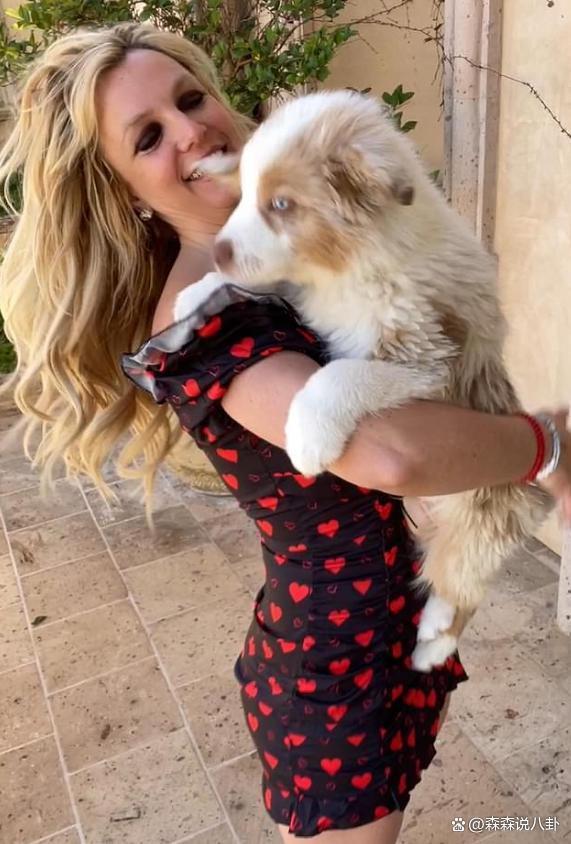 布兰妮三度离婚，砸钱争夺两只狗的抚养权，前夫也势在必得