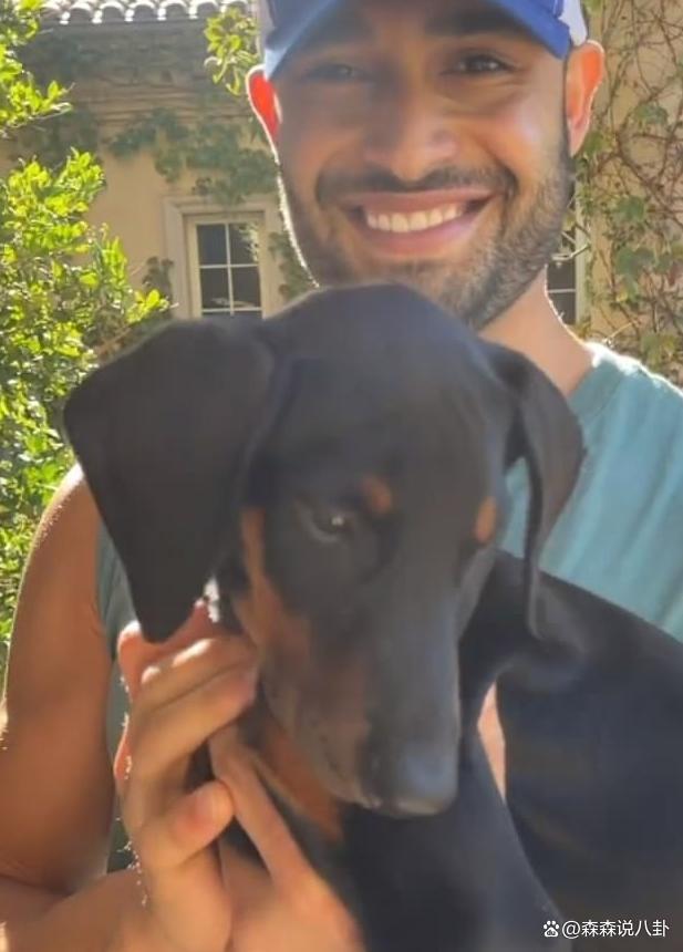 布兰妮三度离婚，砸钱争夺两只狗的抚养权，前夫也势在必得