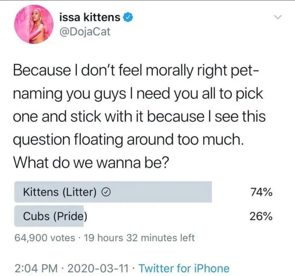 当红女歌手发疯骂粉丝，无脑维护男友，一月内狂掉50万粉