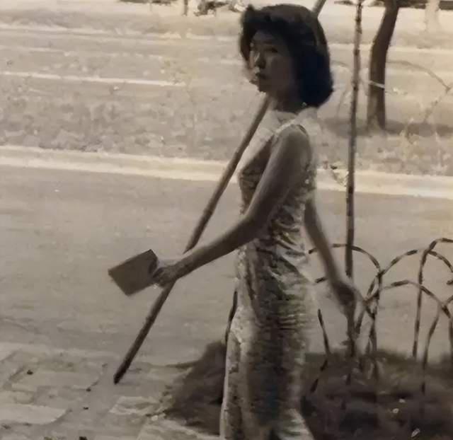 妈妈的偶像在秀胸肌，我的爱豆在牢里踩缝纫机