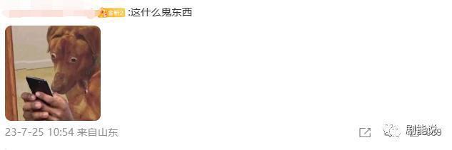 一年前想过她会口碑翻盘吗？