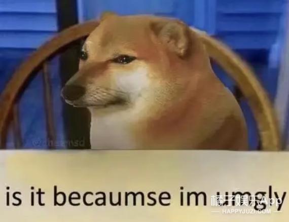 还记得表情包小狗Cheems吗？它的原型去世了