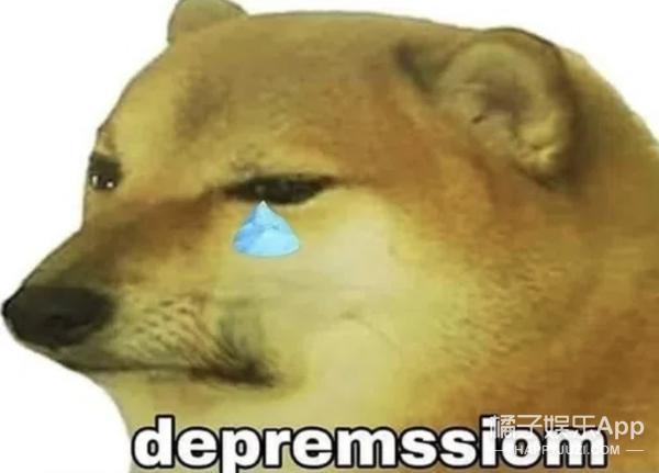 还记得表情包小狗Cheems吗？它的原型去世了