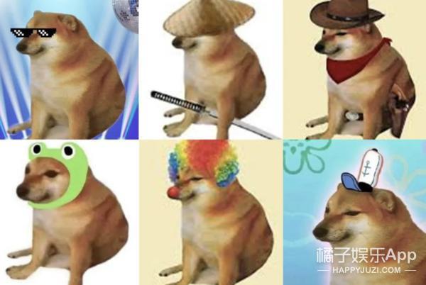 还记得表情包小狗Cheems吗？它的原型去世了