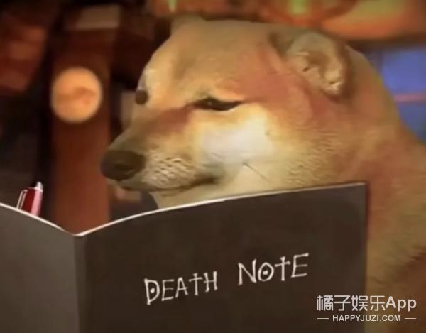 还记得表情包小狗Cheems吗？它的原型去世了