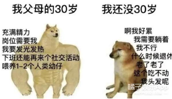 还记得表情包小狗Cheems吗？它的原型去世了