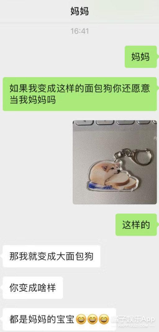 还记得表情包小狗Cheems吗？它的原型去世了