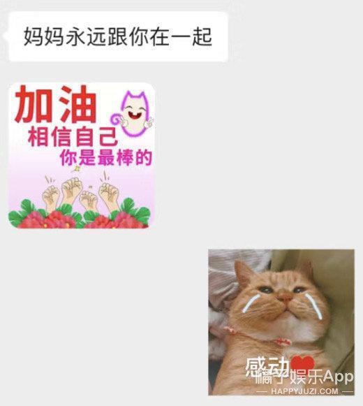 还记得表情包小狗Cheems吗？它的原型去世了