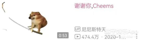 还记得表情包小狗Cheems吗？它的原型去世了