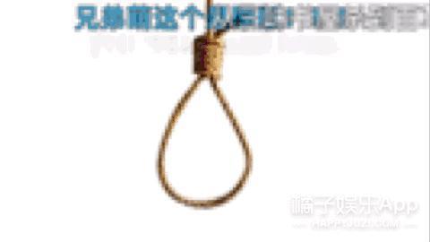 还记得表情包小狗Cheems吗？它的原型去世了