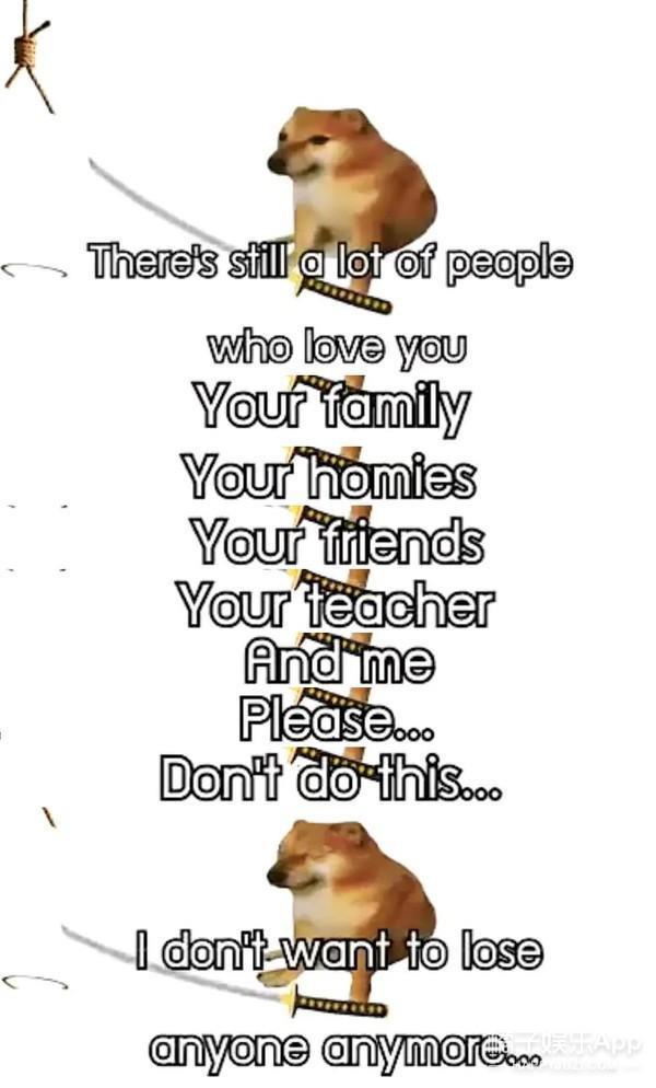 还记得表情包小狗Cheems吗？它的原型去世了